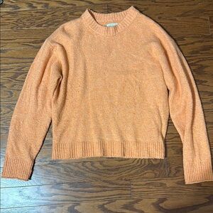 ⭐️American Eagle Outfitters Orange Crew Neck Sweater with Ribbed Detailing